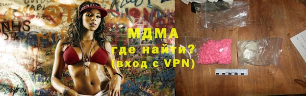 индика Алексин