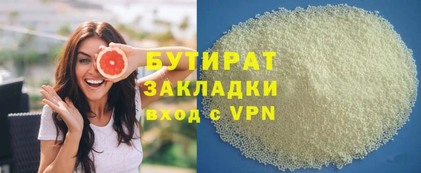 индика Алексин