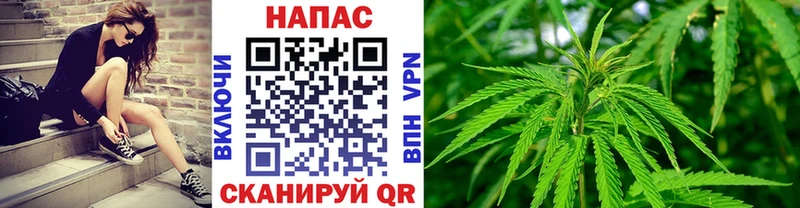 как найти закладки  Нолинск  Каннабис индика 